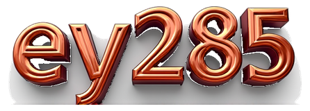 ey285 logo